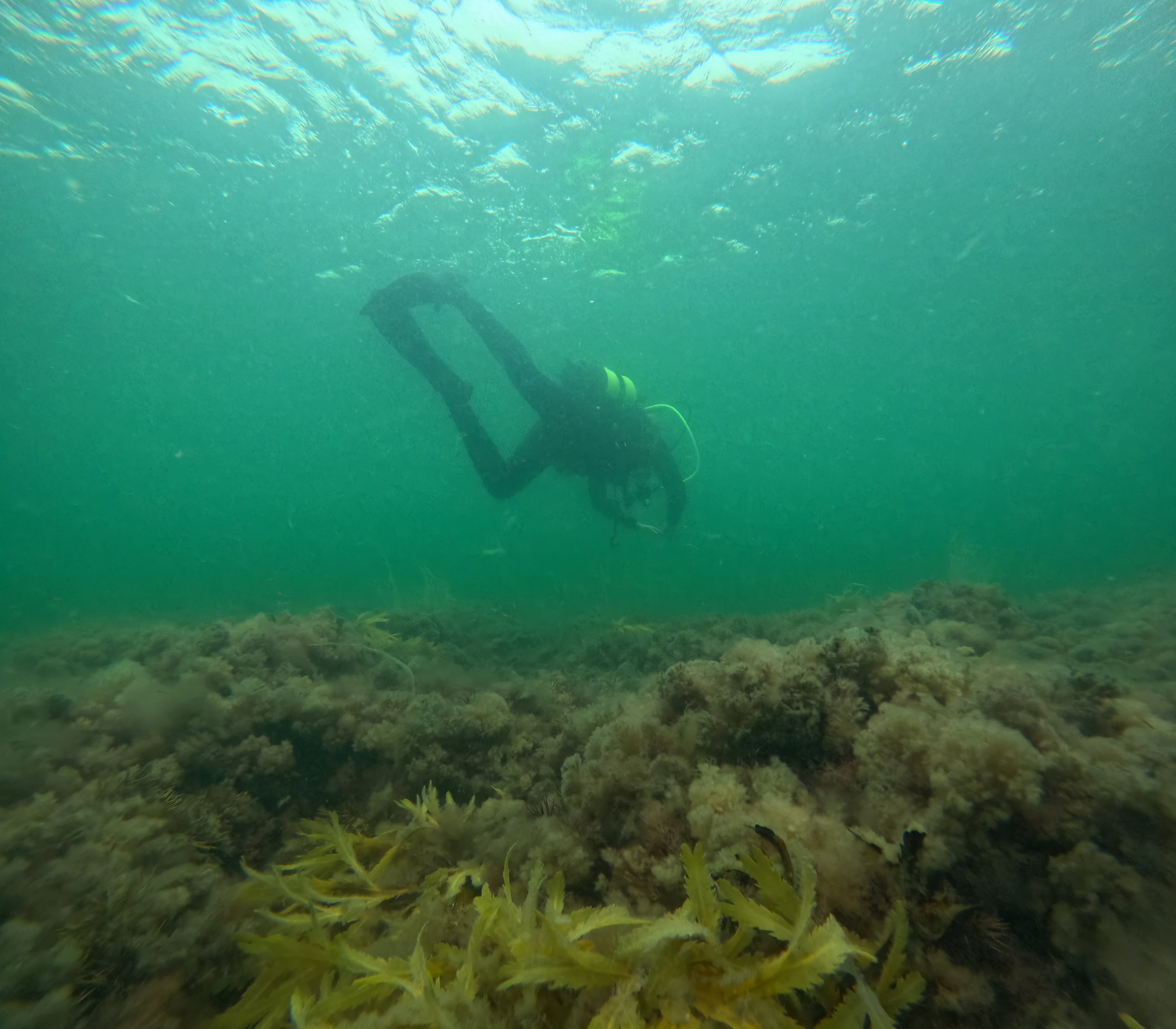 Cmas 3* Bliv leder af dykningen