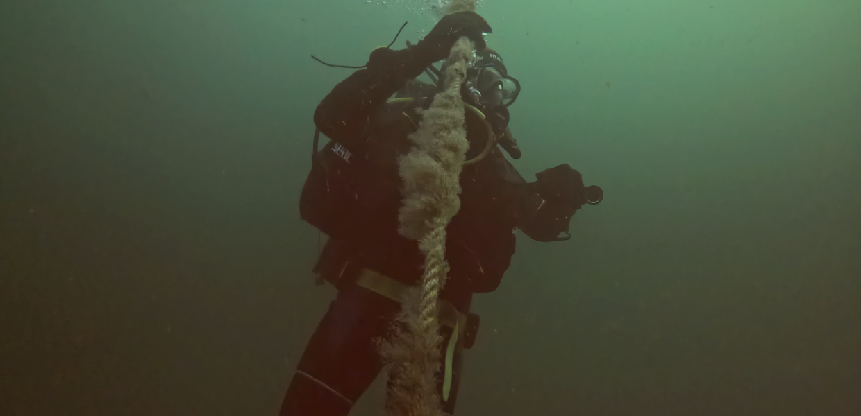 Lær at dykke med os