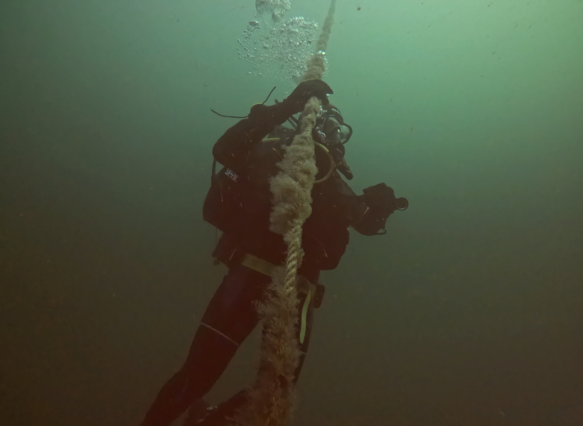 Lær at dykke med os