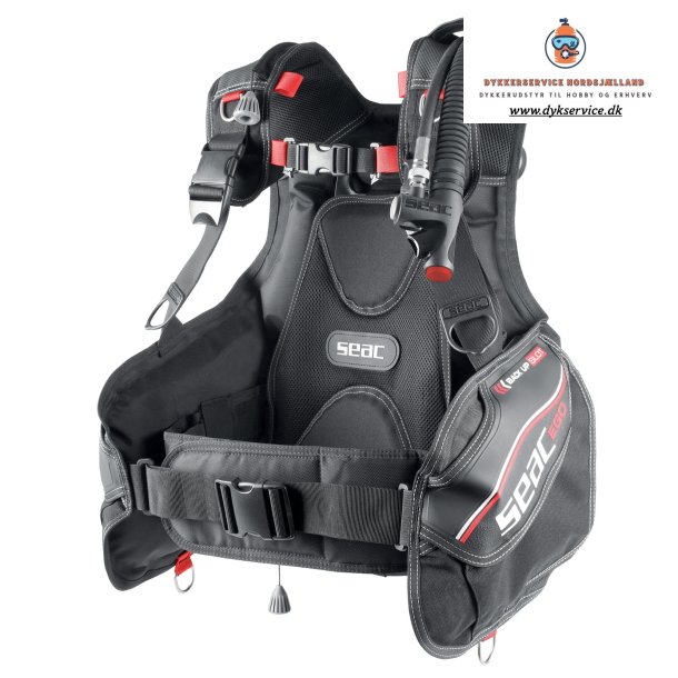 BCD EGO