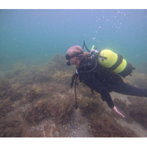 CMAS 1★ Dykkerkursus  Bliv certificeret til dyk ned til 20 meter