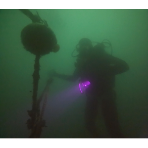 CMAS 3★ Dykkerkursus  Avanceret certificering for erfarne dykkere og teamledere