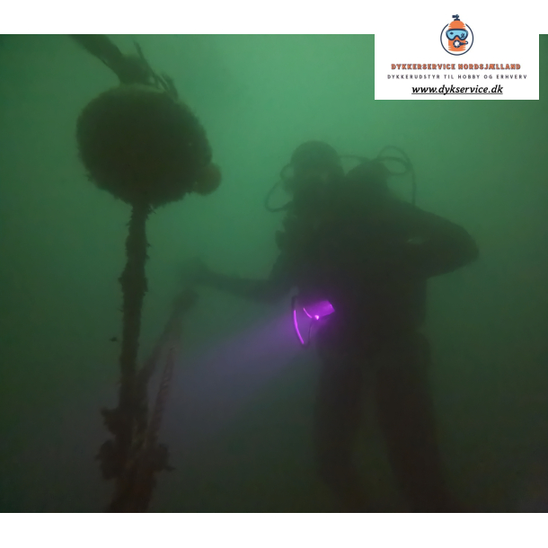 CMAS 3&#9733; Dykkerkursus  Avanceret certificering for erfarne dykkere og teamledere