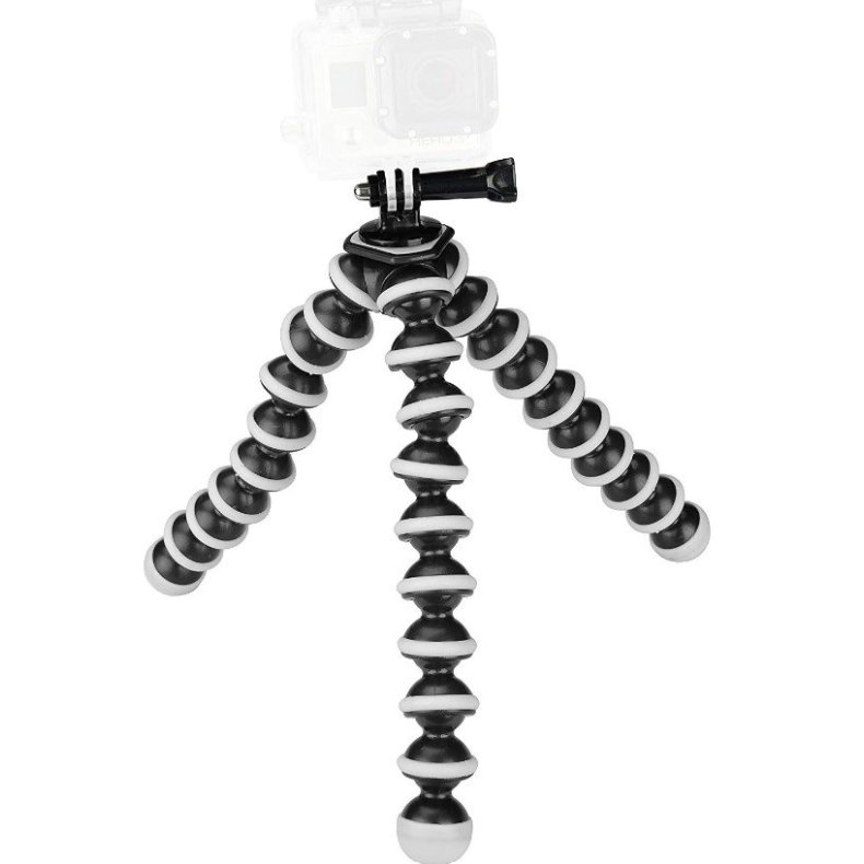 GoPro fod