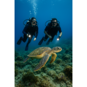 PADI Open Water-kursus i solrige Mlaga