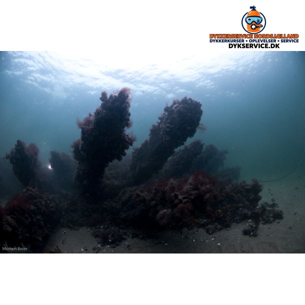 Vragdyk Sj�lland 0 - 5 meter