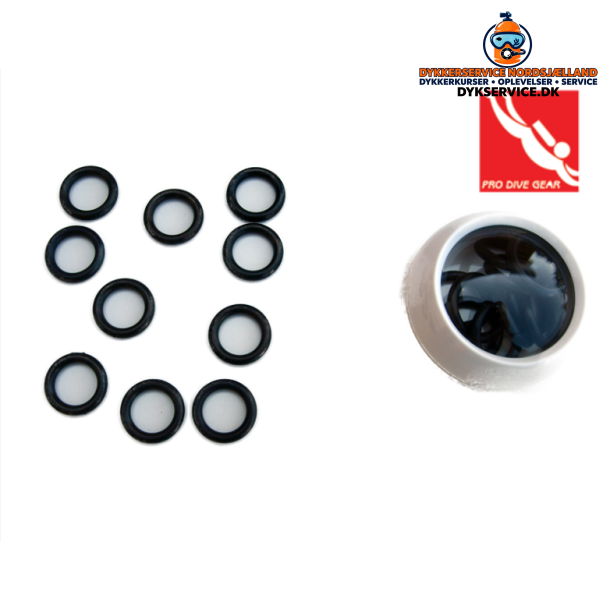 O-ring 10 stk