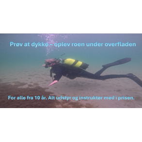 Gavekort til pr�vedyk GULD