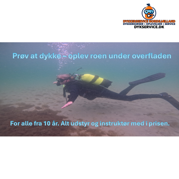 Gavekort til pr�vedyk GULD