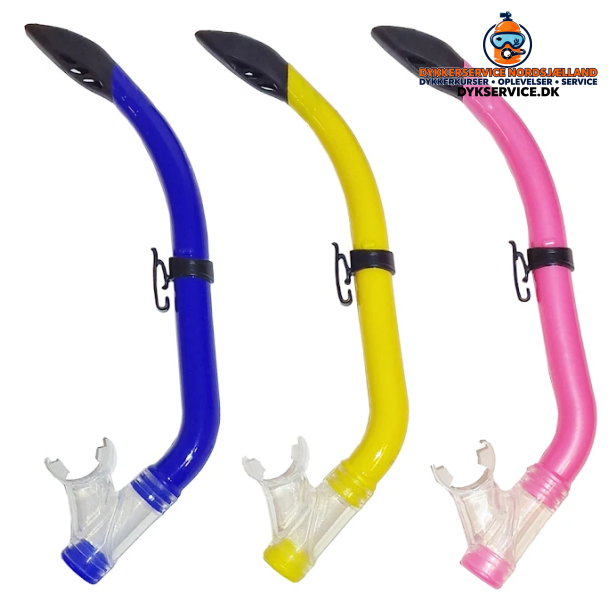 Snorkel Nemo