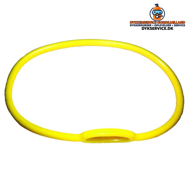Regulator holder